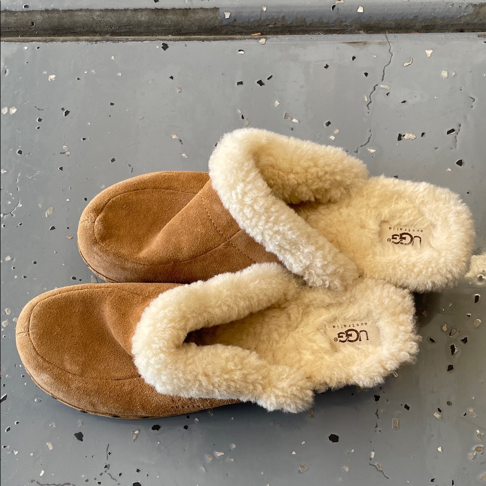 UGG Chestnut and Cream Kalie